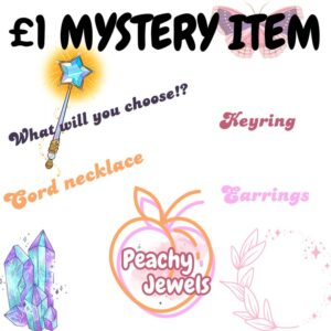 £1 MYSTERY ITEM ✨
