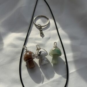 Crystal/stone mushrooms